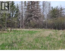 141 Razor Road South Bay Turtle Lake, Turtle Lake, SK S0M1J0 Photo 6