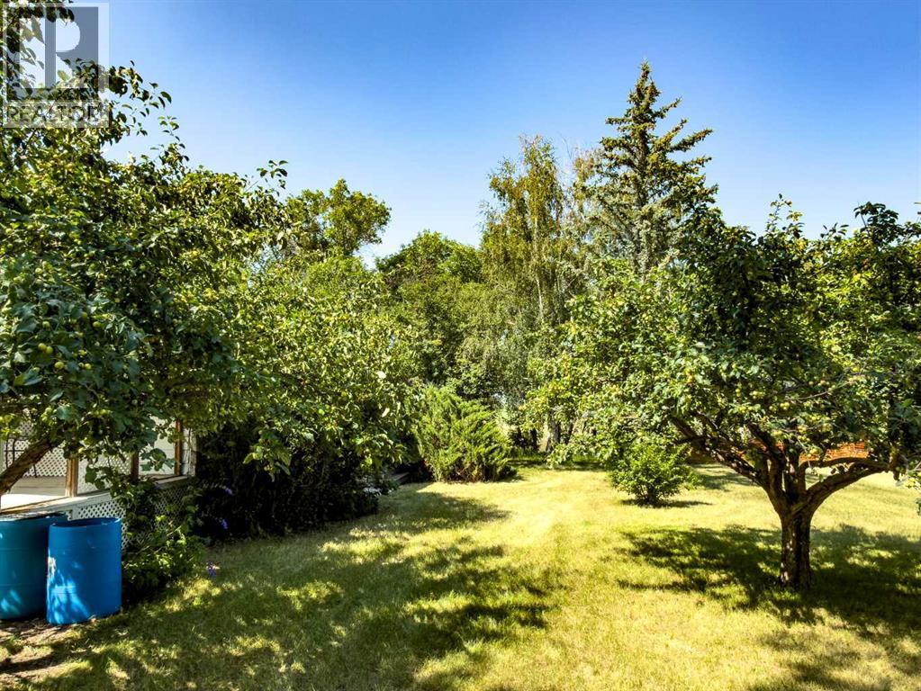 283036 Range Road 202 - Photo 25
