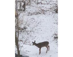 14 Aberdeen Lane S, Niagara On The Lake, ON L0S1J0 Photo 40