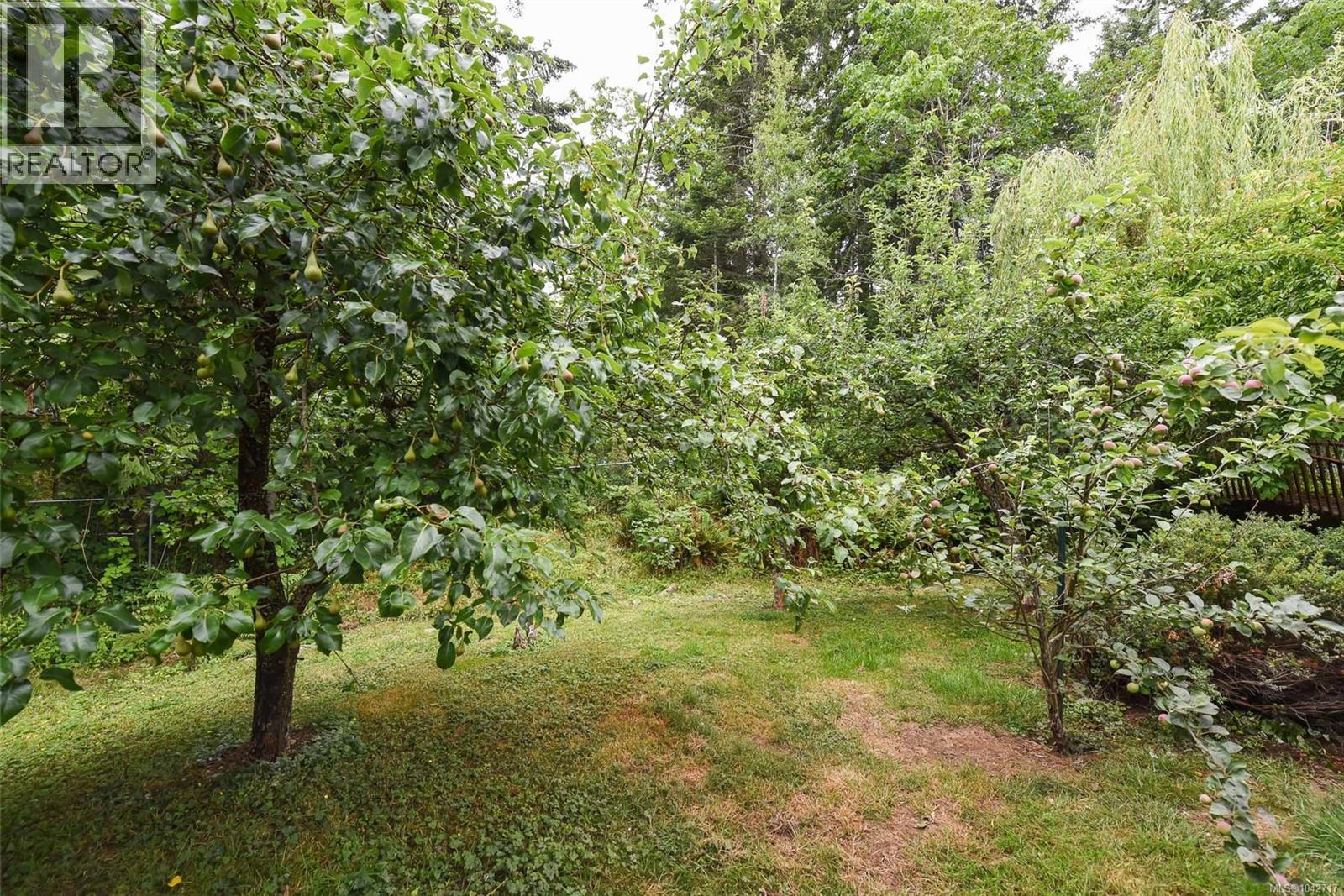 6587 Mystery Beach Rd, Fanny Bay