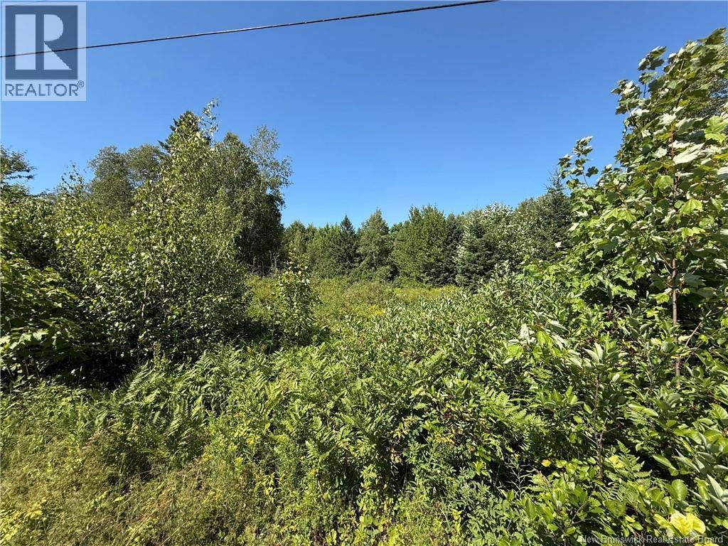 Lot Cherry Hill Road, Lower Cambridge, New Brunswick, E4C4N3, Lower Cambridge, New Brunswick — photo 4 of 5