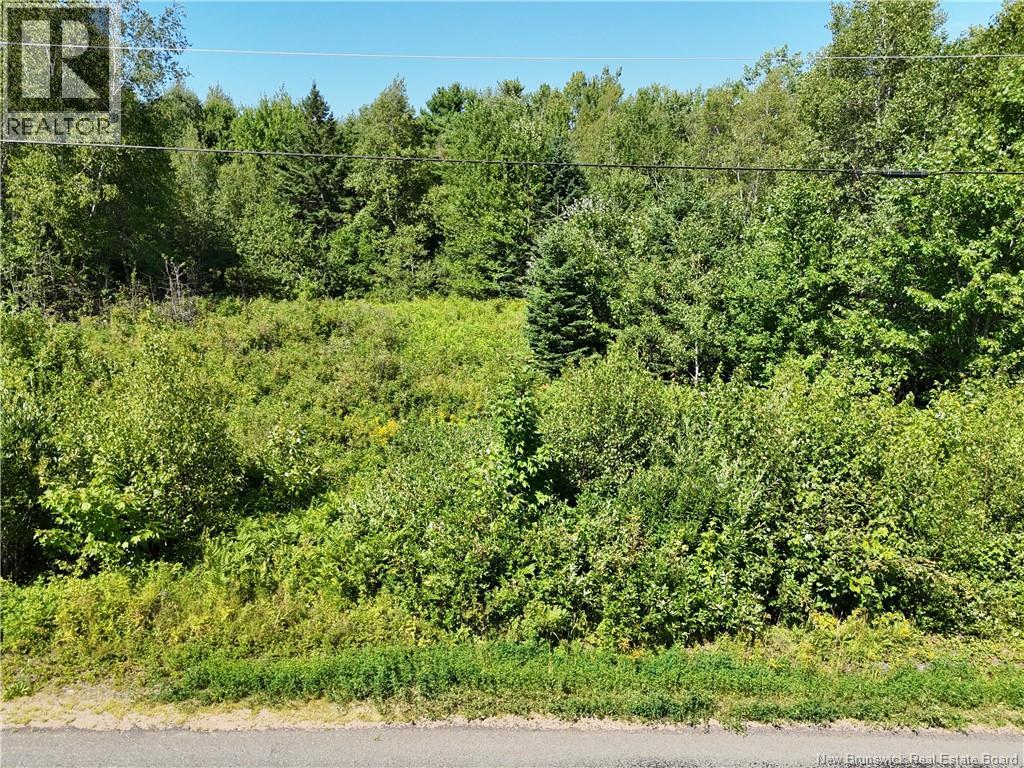 Lot Cherry Hill Road, Lower Cambridge, New Brunswick, E4C4N3, Lower Cambridge, New Brunswick — photo 5 of 5