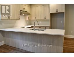 Basement Unit - 47 East Street, Cambridge, ON N1R4P2 Photo 7