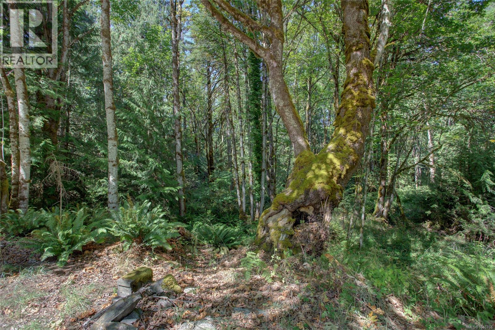 4389 Creighton Rd - 63