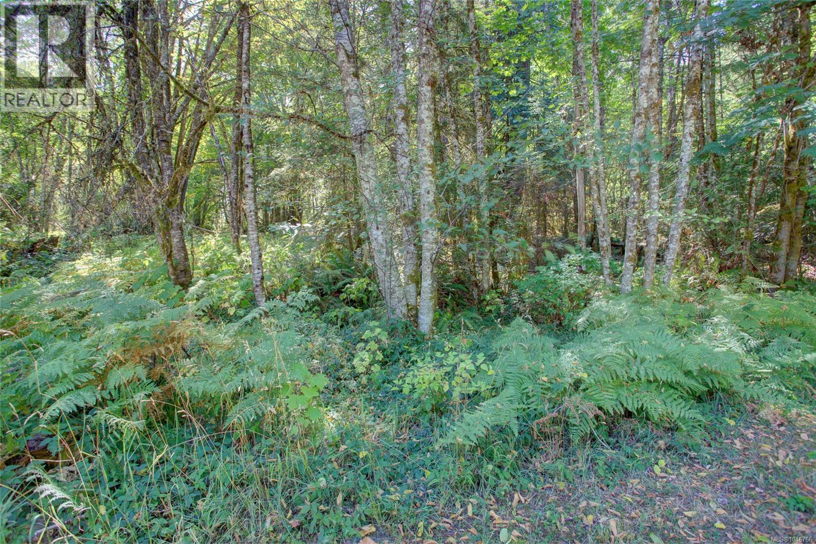 4389 Creighton Rd - 66