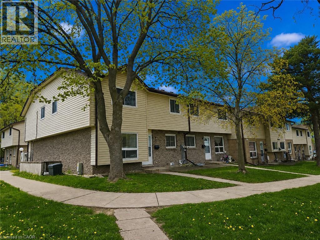 451 ALBERT Street Unit# 6 — photo 3