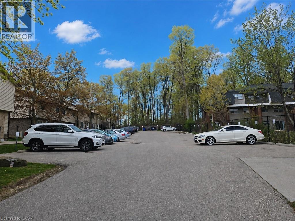 451 ALBERT Street Unit# 6 — photo 2