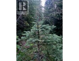 Lot 1 Neville Road, Golden, BC V0A1H0 Photo 11