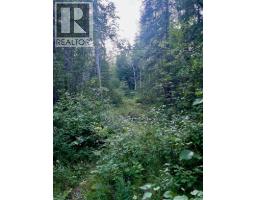Lot 1 Neville Road, Golden, BC V0A1H0 Photo 13