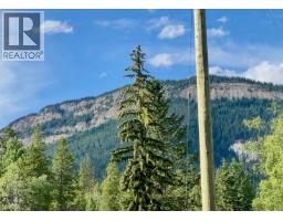 Lot 1 Neville Road, Golden, BC V0A1H0 Photo 16