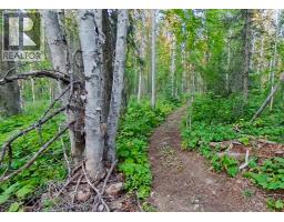Lot 1 Neville Road, Golden, BC V0A1H0 Photo 17