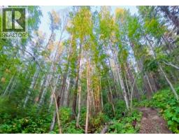 Lot 1 Neville Road, Golden, BC V0A1H0 Photo 18