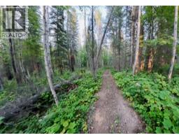 Lot 1 Neville Road, Golden, BC V0A1H0 Photo 19