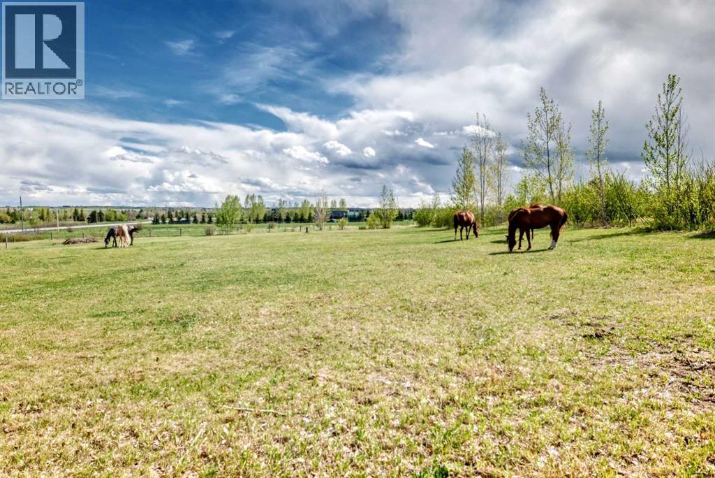 16253 262 Avenue East - Photo 41
