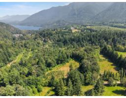 1420 Janovick Road, Columbia Valley, Columbia Valley, BC V2R4X6 Photo 8