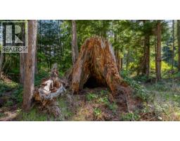 885 Lanqvist Rd, Hyde Creek, BC V0N2R0 Photo 82