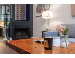 236 Seaton Street, Toronto, ON M5A2T4 Photo 13