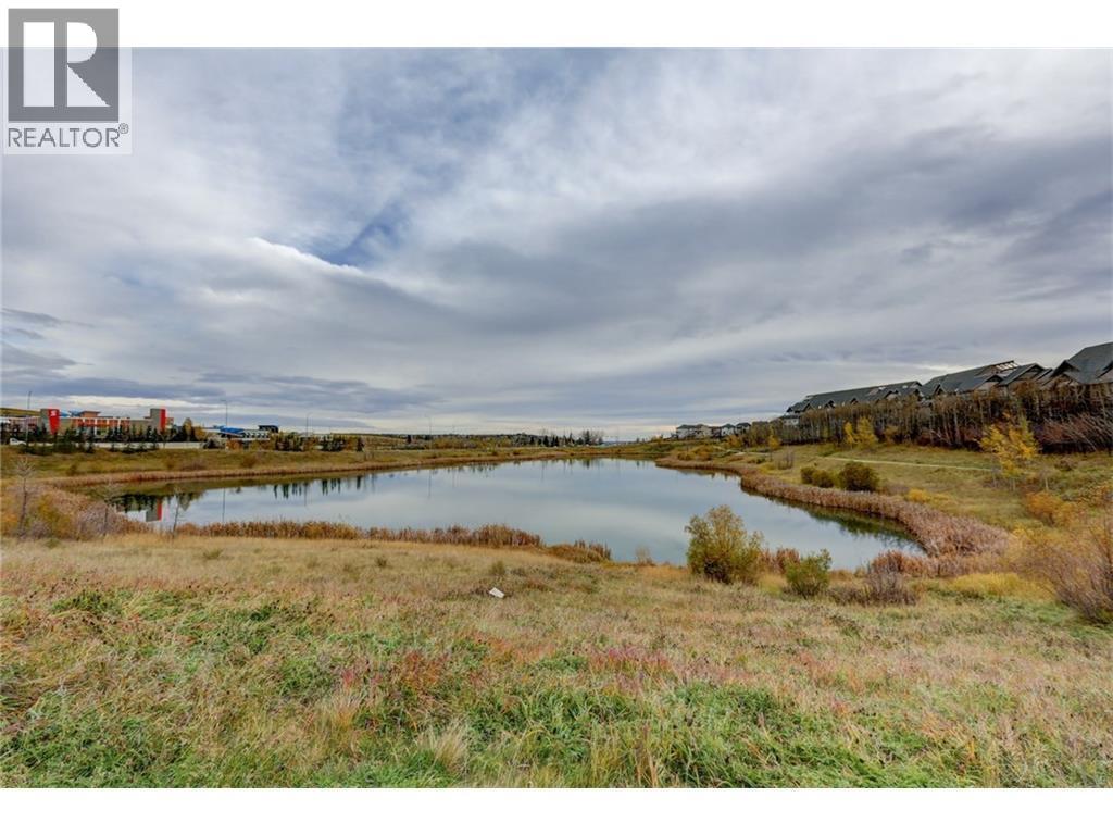 #313 25 Aspenmont Heights SW - 31