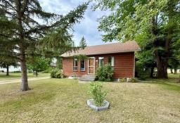 1038 9th Avenue S, Virden, MB R0M2C0 Photo 43