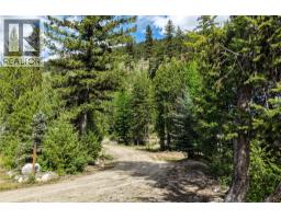 5550 Highway 33 Highway, Beaverdell, BC V0H1A0 Photo 33