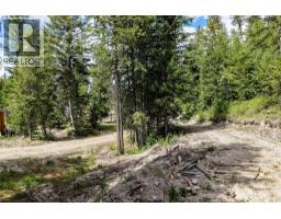 5550 Highway 33 Highway, Beaverdell, BC V0H1A0 Photo 34