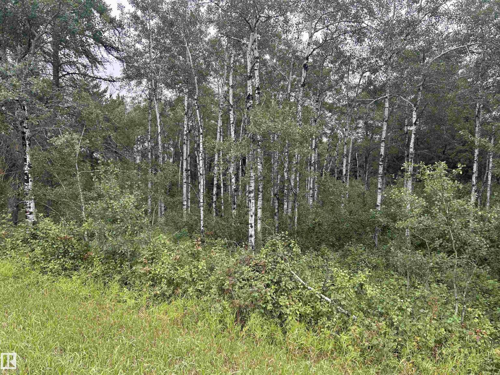 NW-30-57-17-W4 - Photo 5