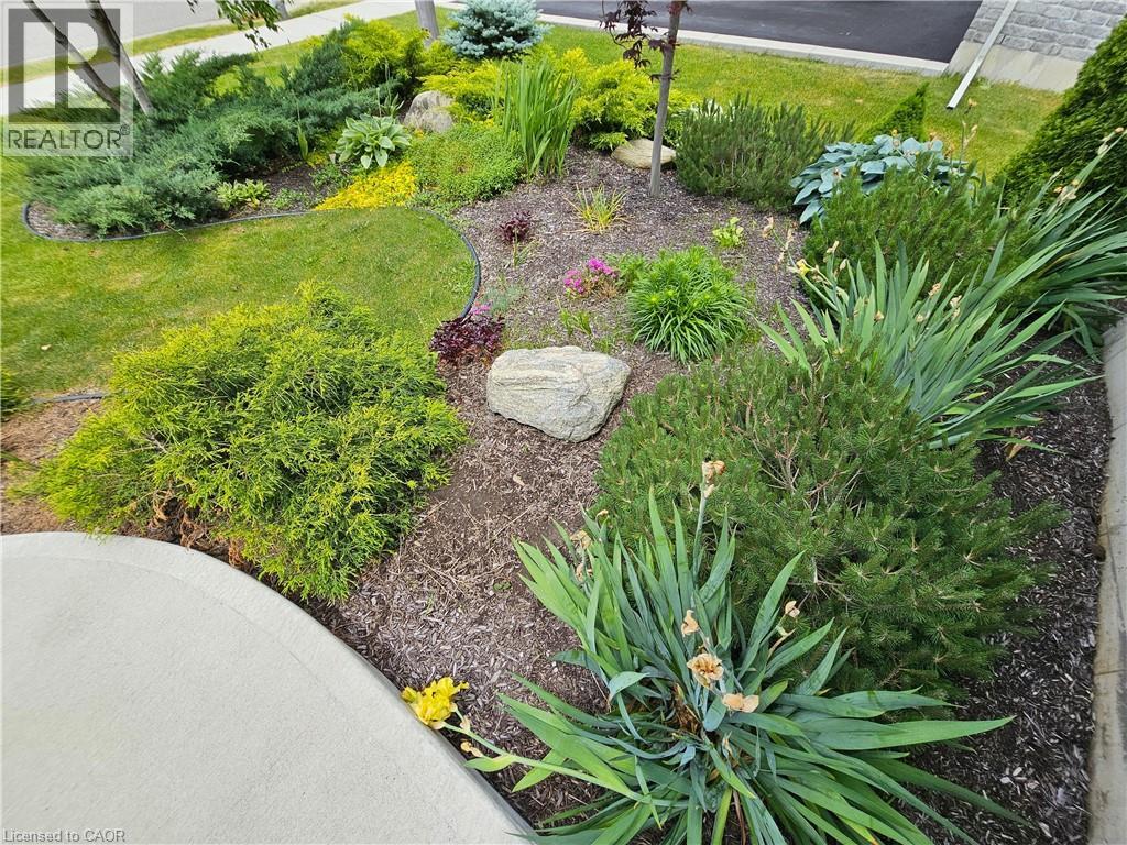 98 ALLANDALE Crescent - Image 6