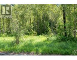 Airport Road Lot# 38, Salmo, BC V0G1Z0 Photo 10
