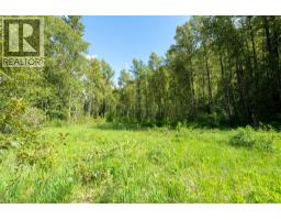 Airport Road Lot# 38, Salmo, BC V0G1Z0 Photo 11