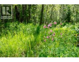 Airport Road Lot# 38, Salmo, BC V0G1Z0 Photo 13
