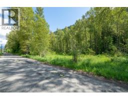 Airport Road Lot# 38, Salmo, BC V0G1Z0 Photo 9