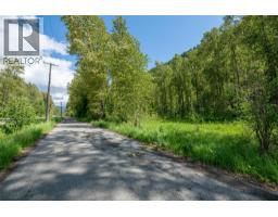 Airport Road Lot# 38, Salmo, BC V0G1Z0 Photo 8