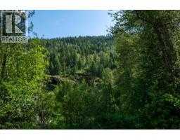 Airport Road Lot# 38, Salmo, BC V0G1Z0 Photo 15
