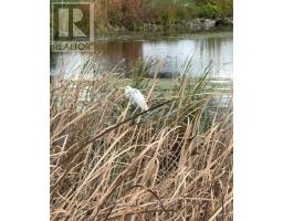 4 - 234 Water Street, Scugog, ON L9L1C4 Photo 48