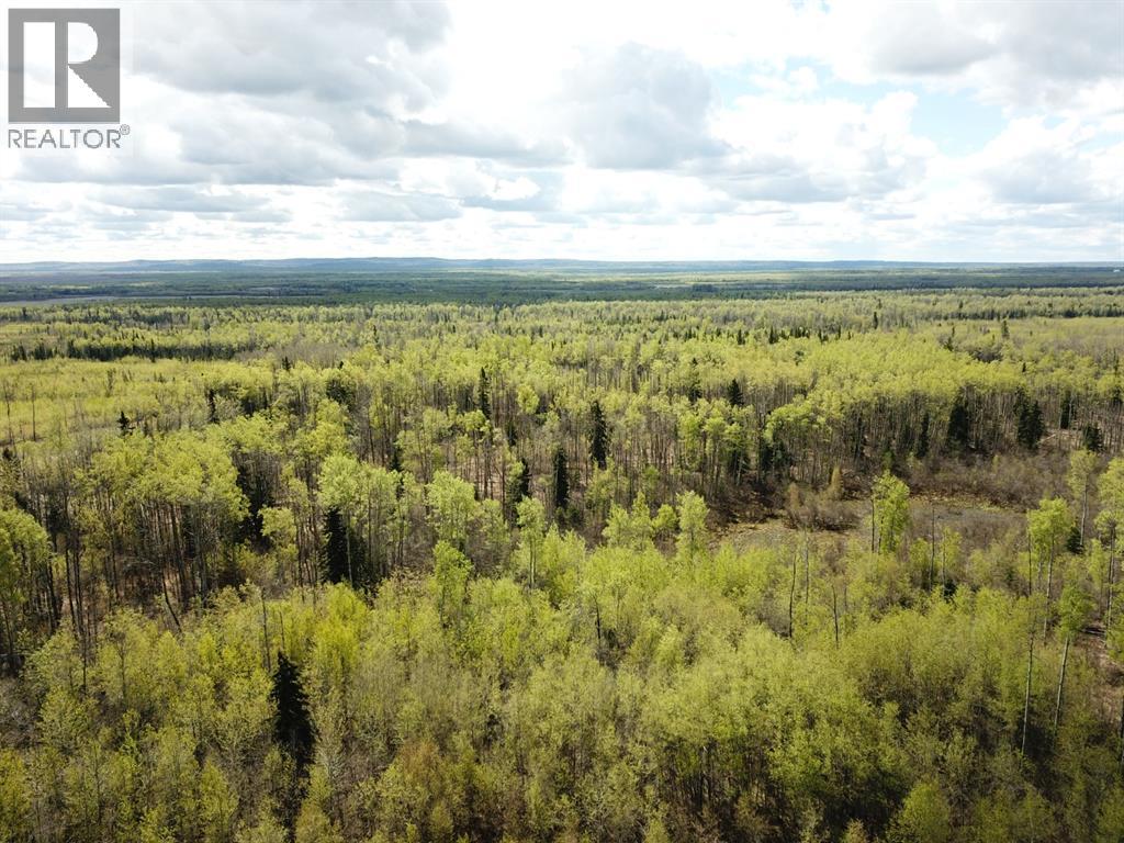 SE 77996 92 Range Road - Photo 15