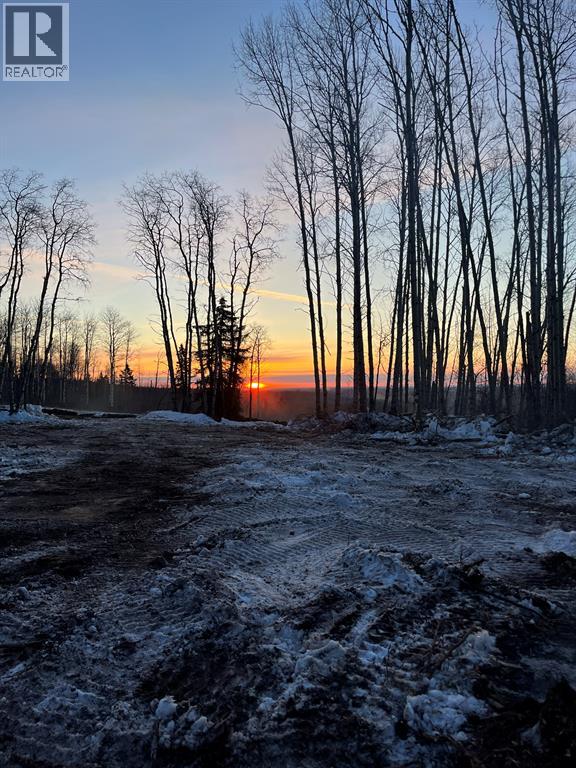 SE 77996 92 Range Road - Photo 18