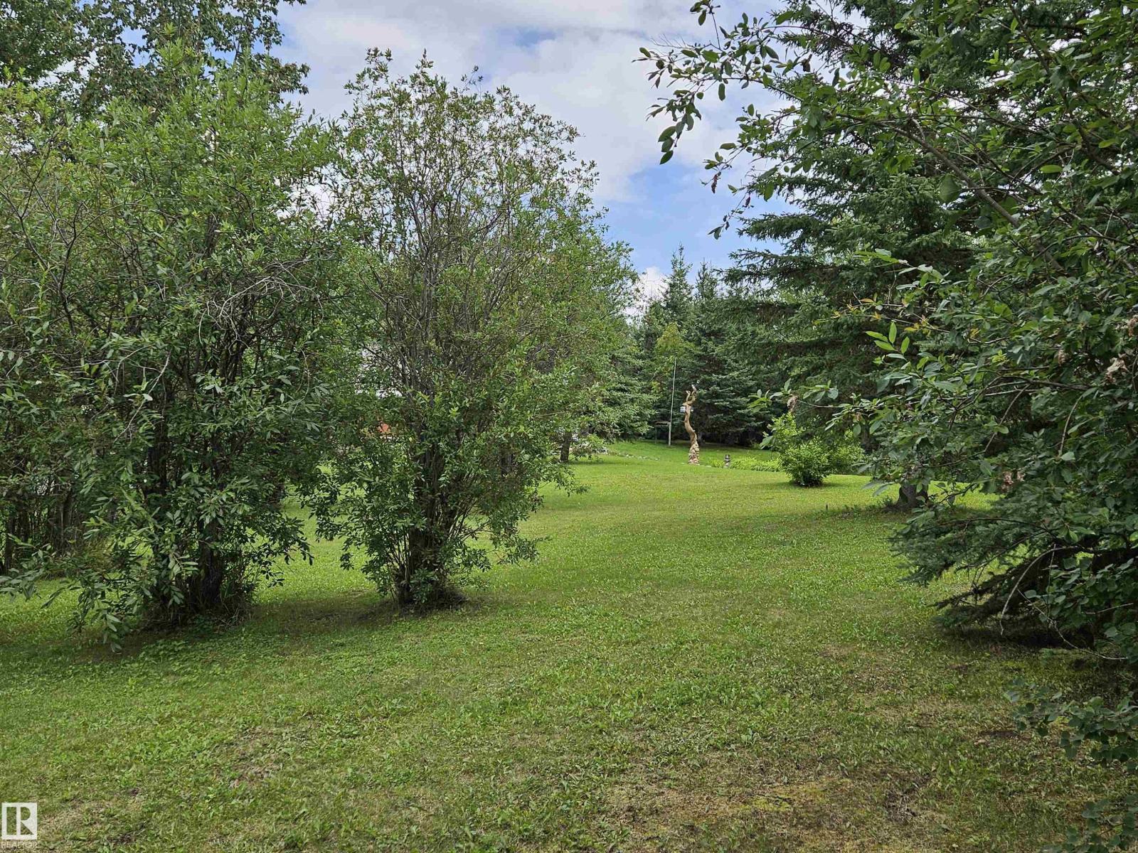 45 54222 RGE ROAD 25 - Photo 47