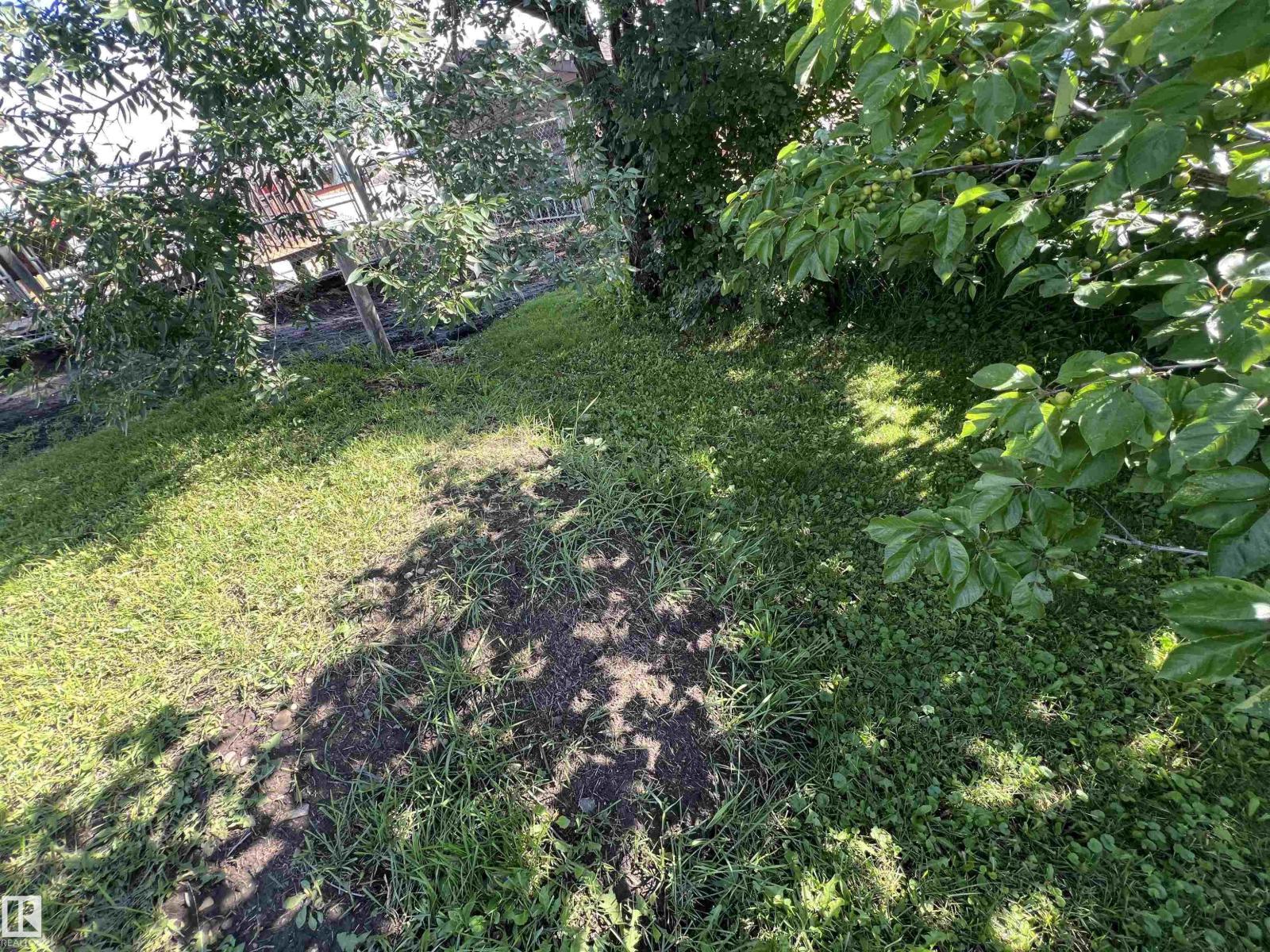 5405 47 Street - Photo 9