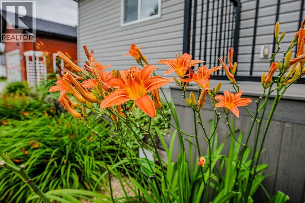 5113 52 Street - Image 35