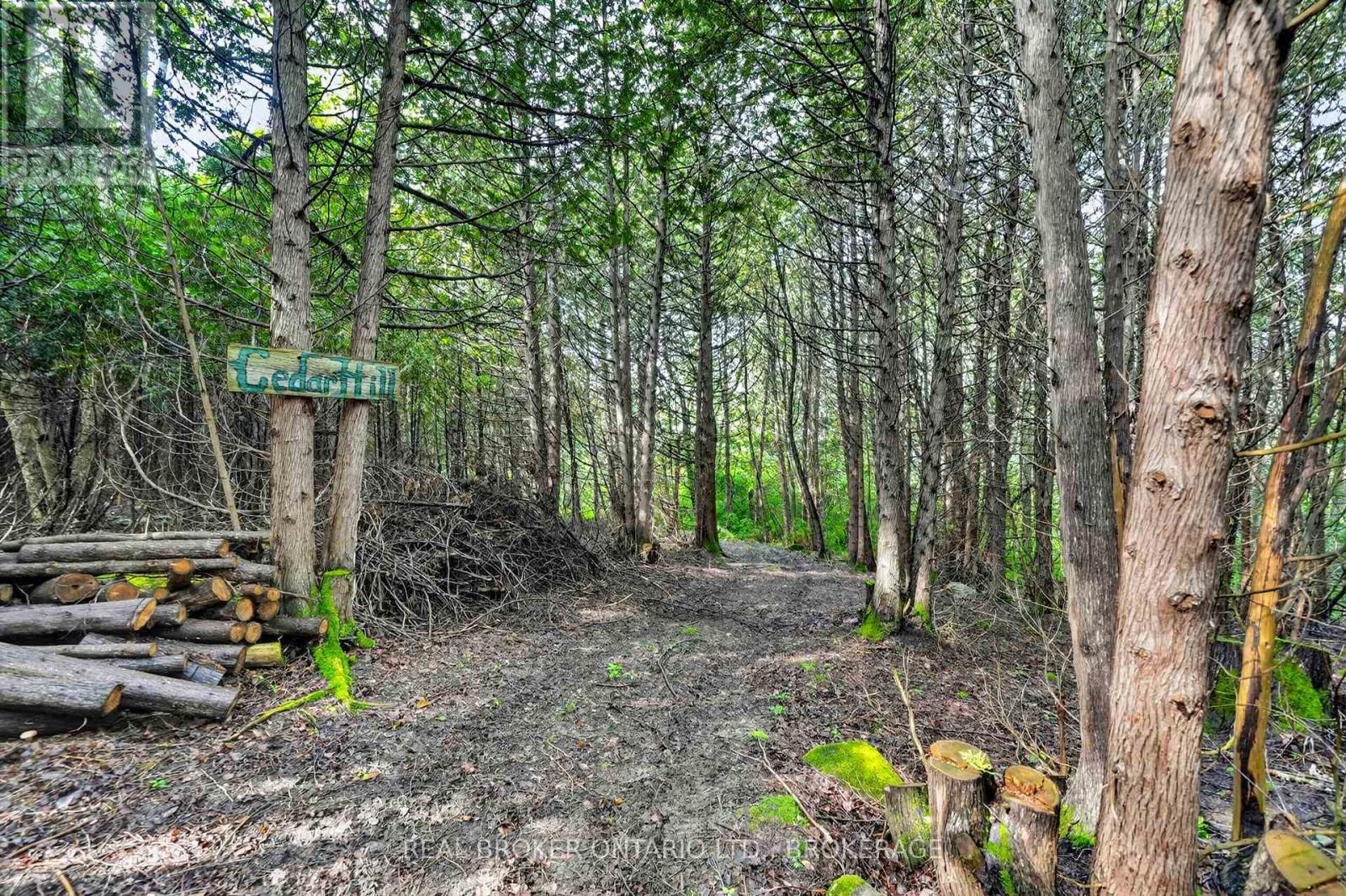 18523 KENYON CONC RD 1 ROAD - Image 36
