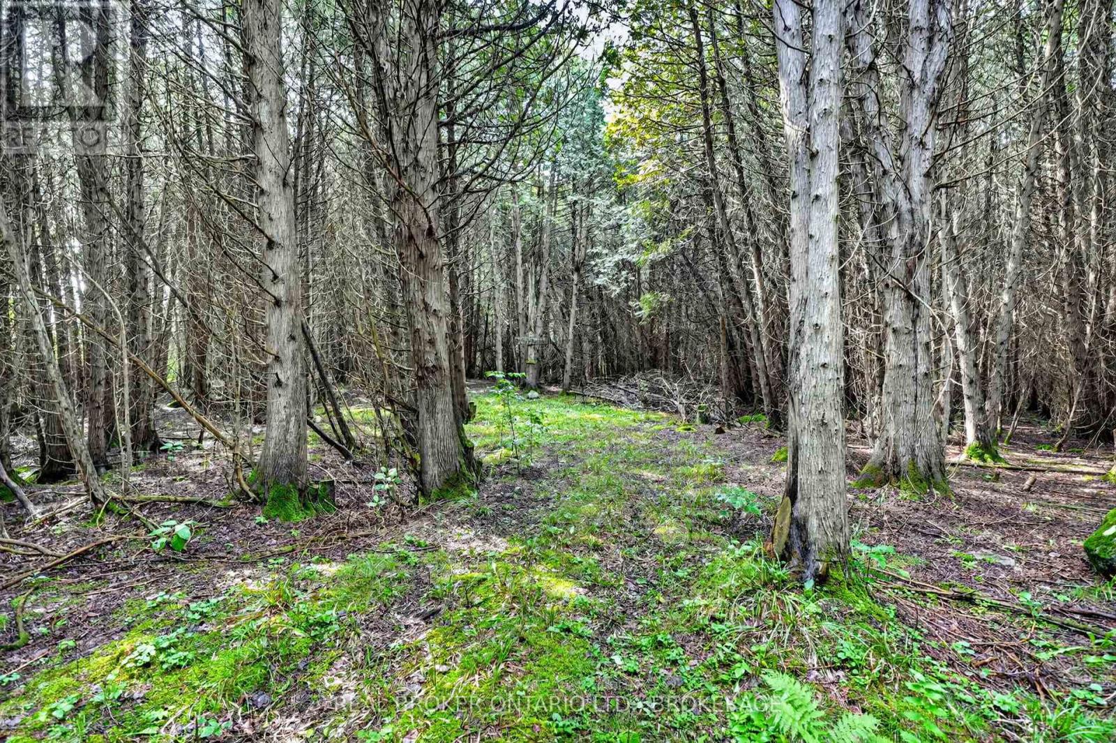 18523 KENYON CONC RD 1 ROAD - Image 37