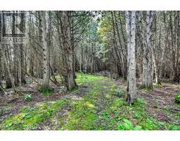 18523 Kenyon Conc Rd 1 Road, North Glengarry, ON K0C1B0 Photo 37