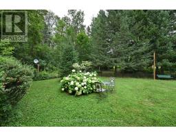 7975 County Road 13, Adjala Tosorontio, ON L0M1M0 Photo 29