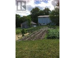 Cold room - 136 Hollowview Road, Stirling Rawdon, ON K0K3E0 Photo 9