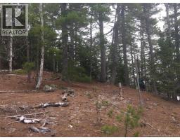 Ledge Road, St  Stephen, NB E3L3N1 Photo 7