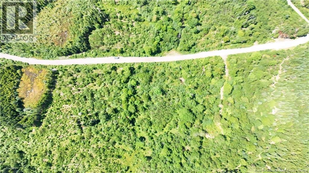 Old Gardner Creek Road, Rowley, New Brunswick, E2S2B9, Rowley, New Brunswick — photo 5 of 5