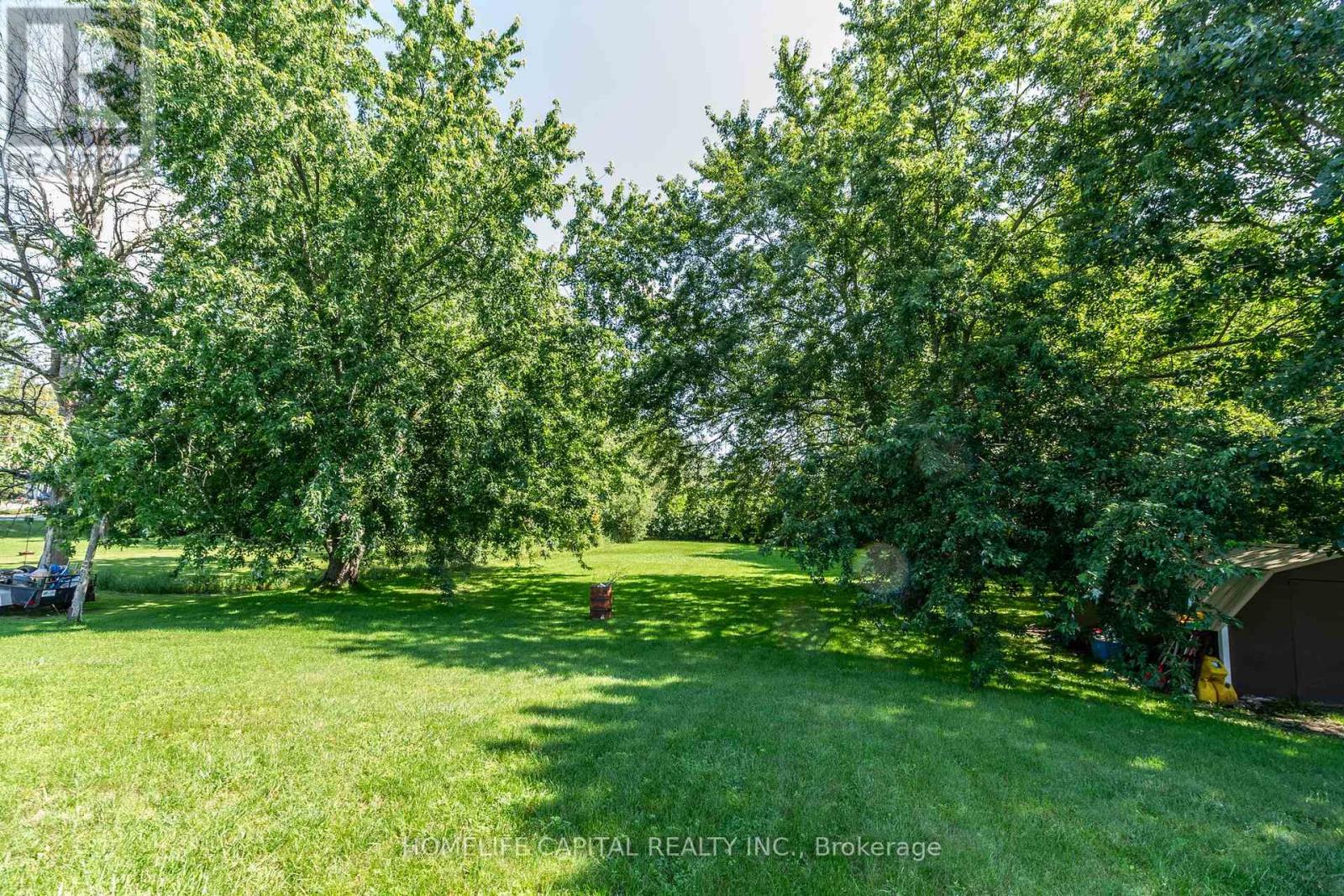 8425 COUNTY RD 15 ROAD - Image 8