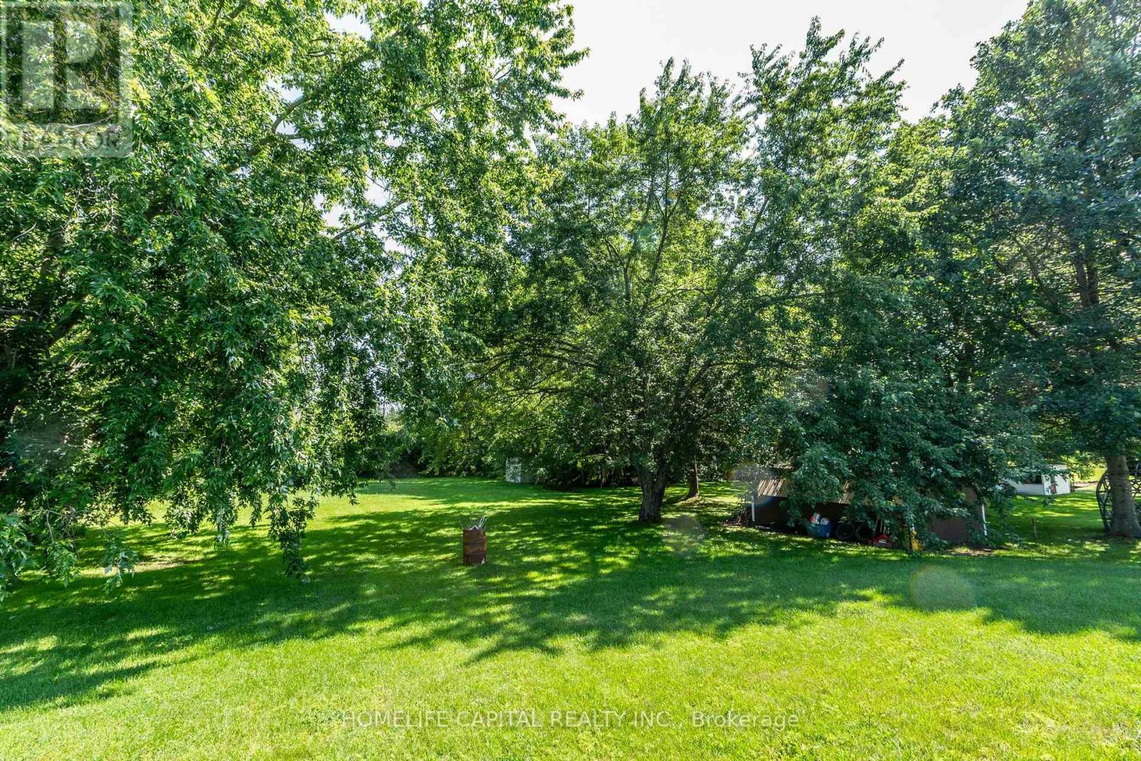 8425 COUNTY RD 15 ROAD - Image 9
