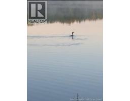 840 Bass River Point Road, Bass River, NB E4T1K4 Photo 44
