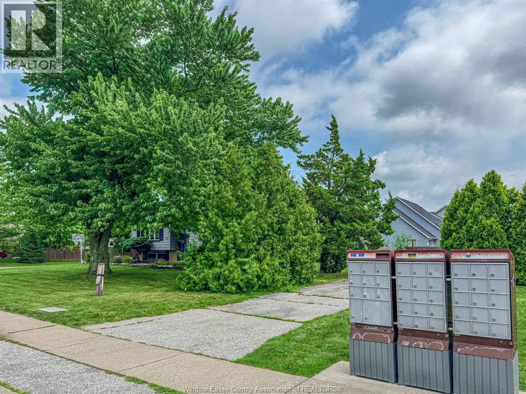 159 DUCHARME - Image 3